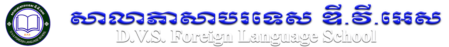 DVS Logo